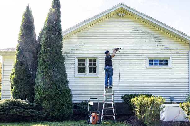 Best Driveway Pressure Washing  in Midway South, TX